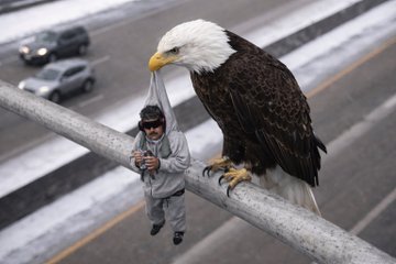 Diplomatic Solutions